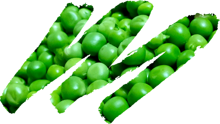 deco